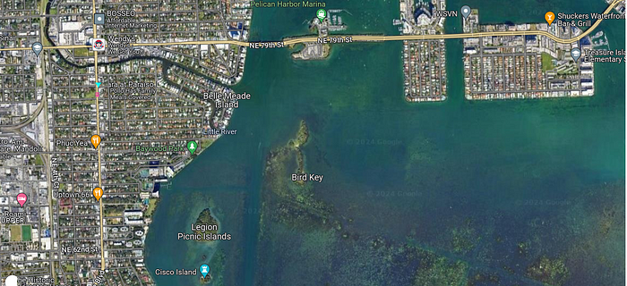 Discover Bird Key: A Unique Private Island In Miami, Florida, For Sale ...